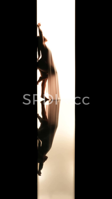 Portfolio Slide Main